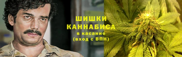 шишки Бородино