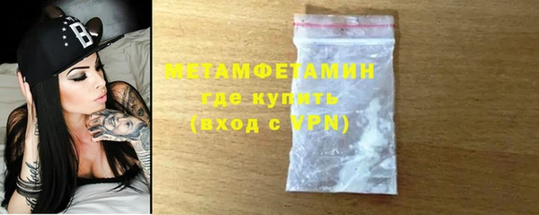 шишки Бородино