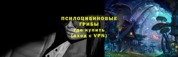шишки Бородино