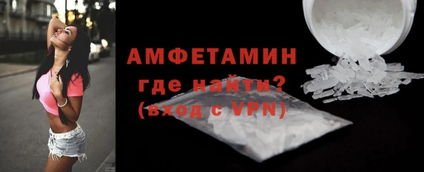 шишки Бородино
