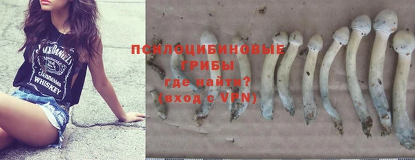 шишки Бородино