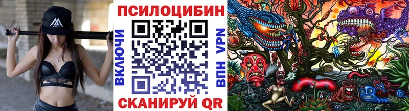 Псилоцибиновые грибы ЛСД  Купить где  Павловский Посад 